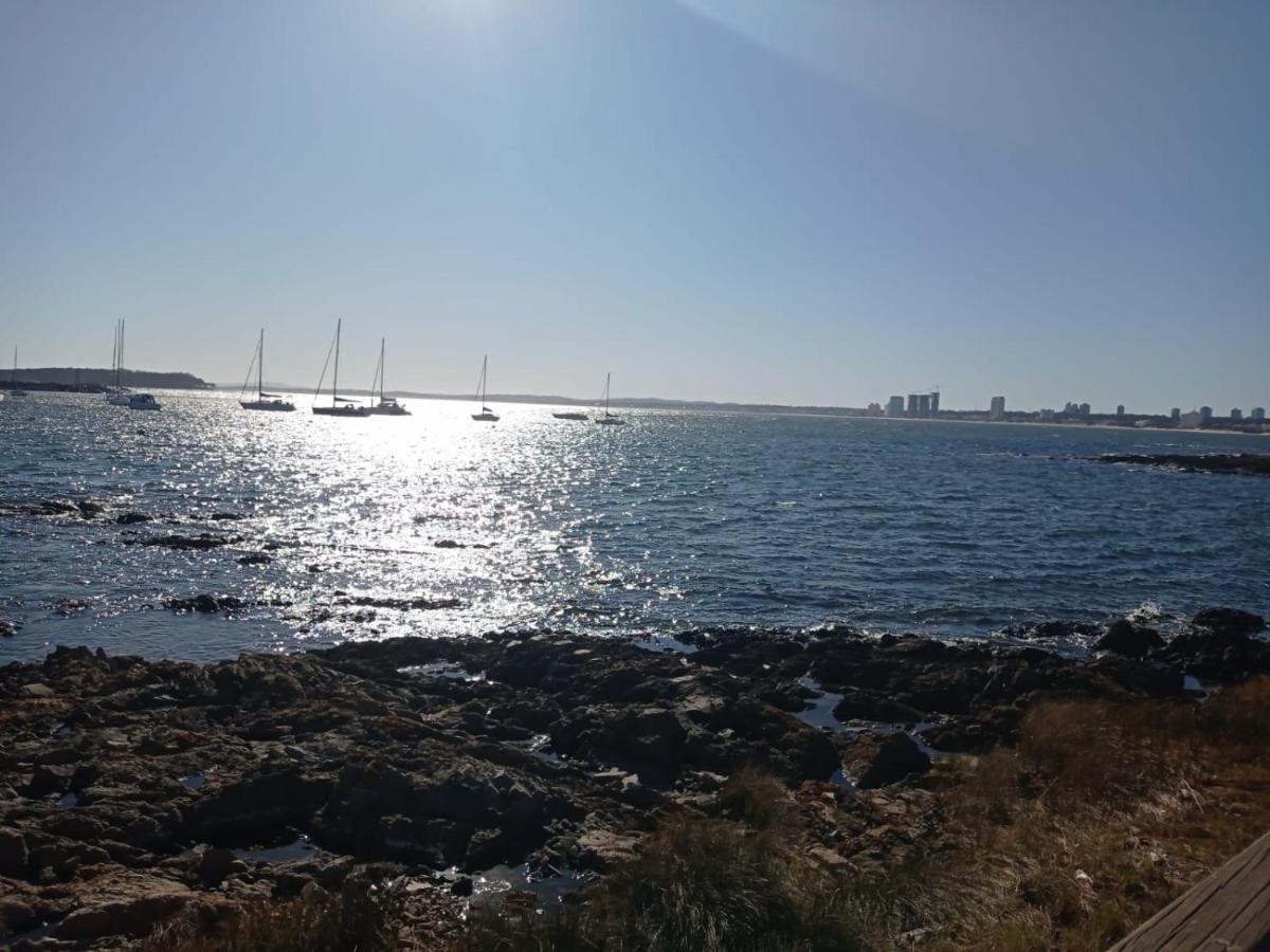 Punta Del Shelton Punta del Este